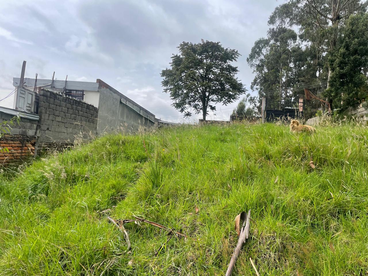 Terreno en venta en Quito — foto 8