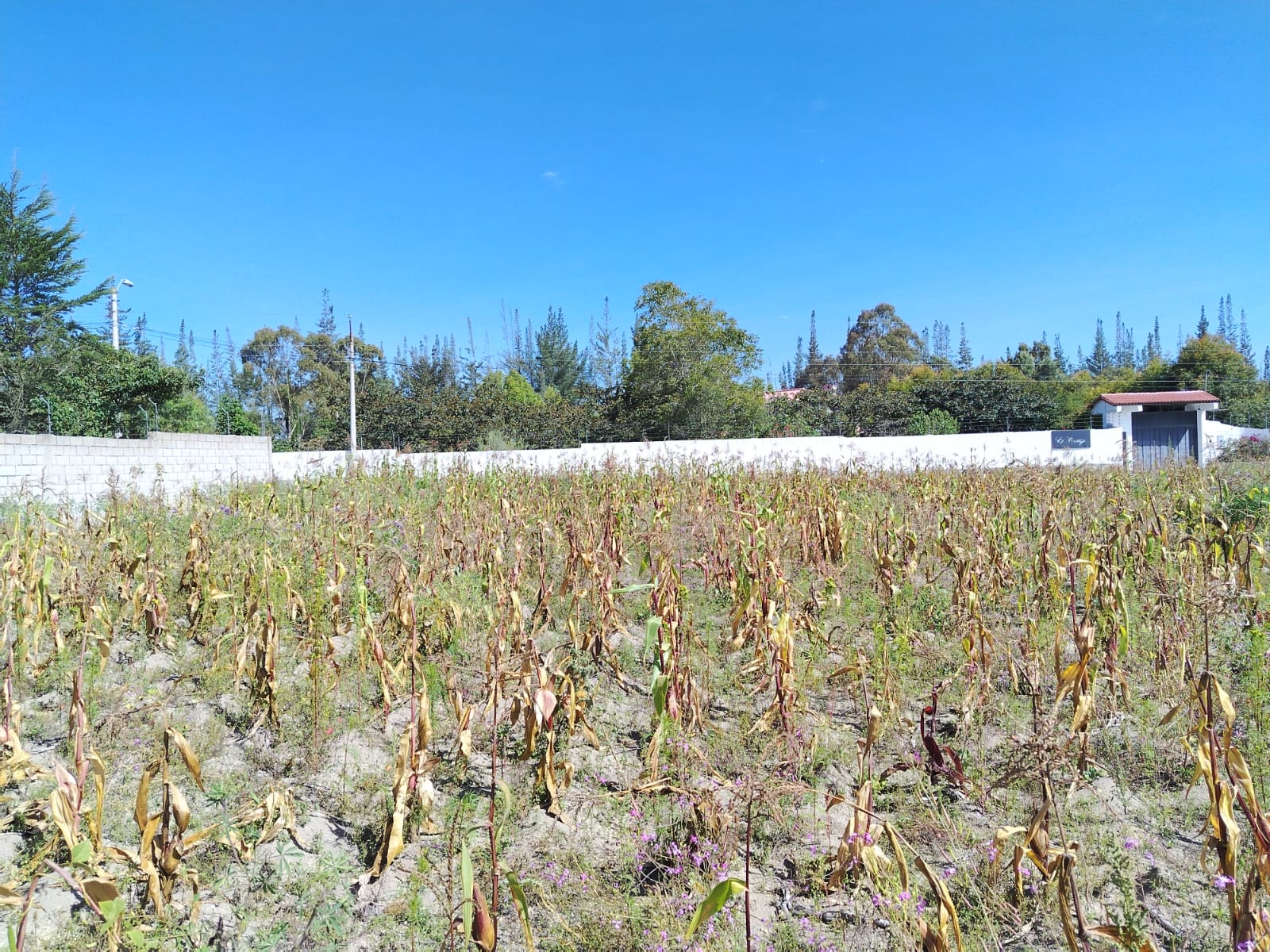 Terreno en venta en Pedro Moncayo — foto 2