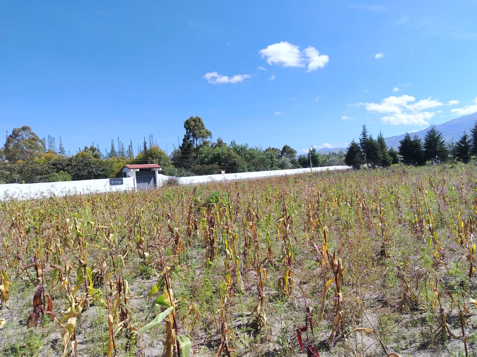 Terreno en venta en Pedro Moncayo — foto 3