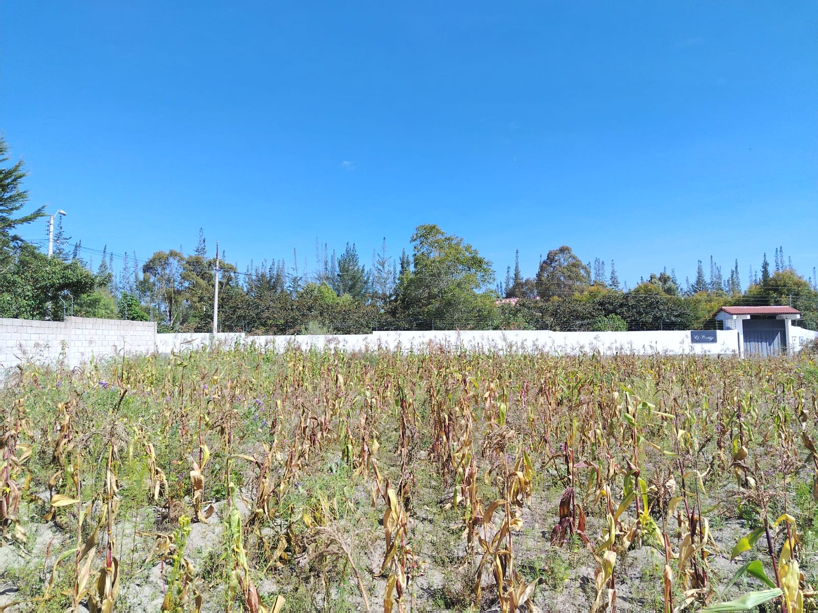 Terreno en venta en Pedro Moncayo — foto 5