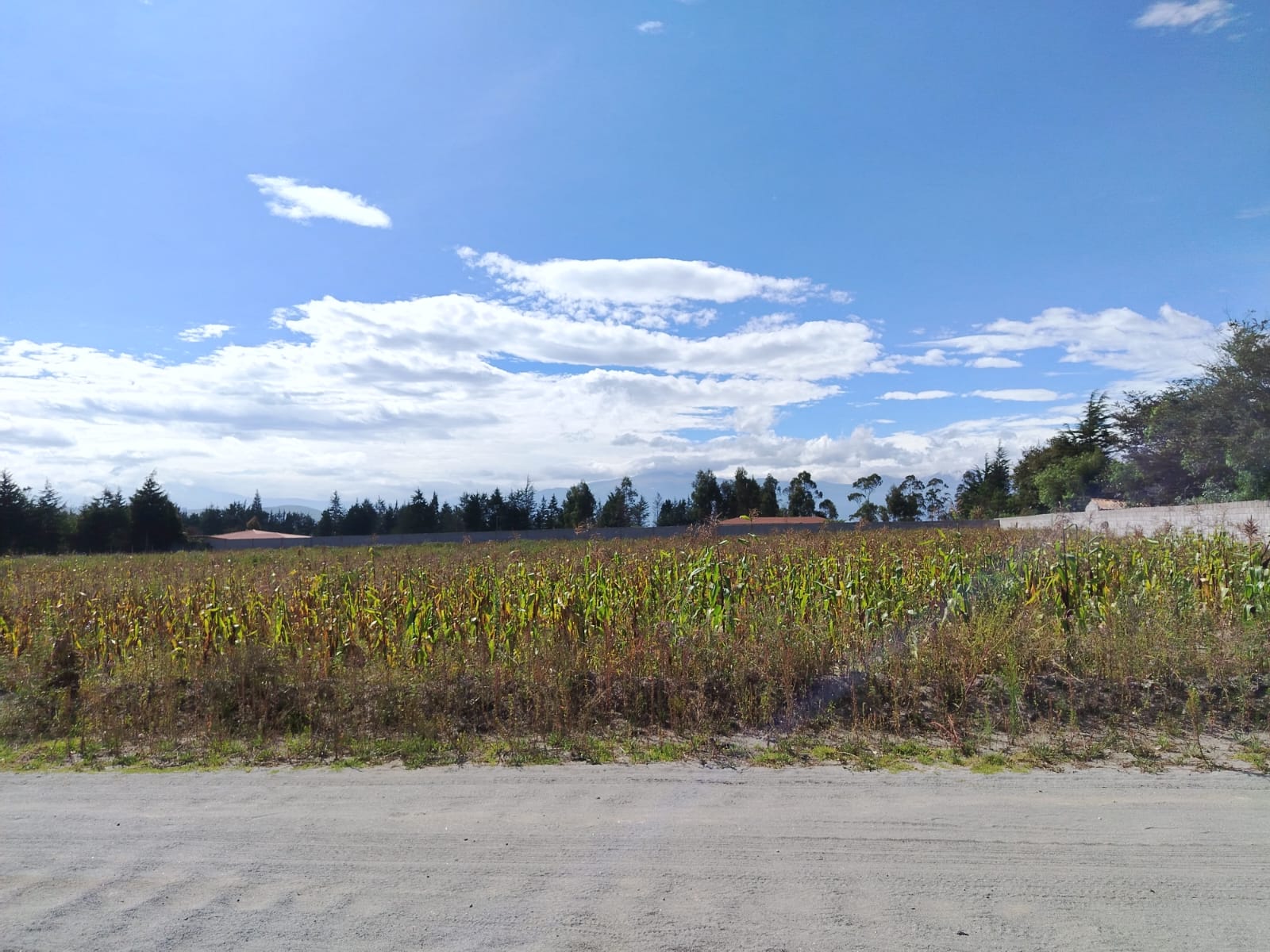 Terreno en venta en Pedro Moncayo — foto 7