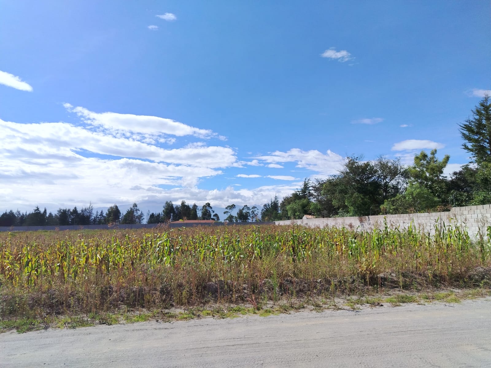 Terreno en venta en Pedro Moncayo — foto 8