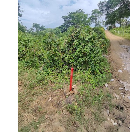 Terreno en venta en Guayaquil — foto 5