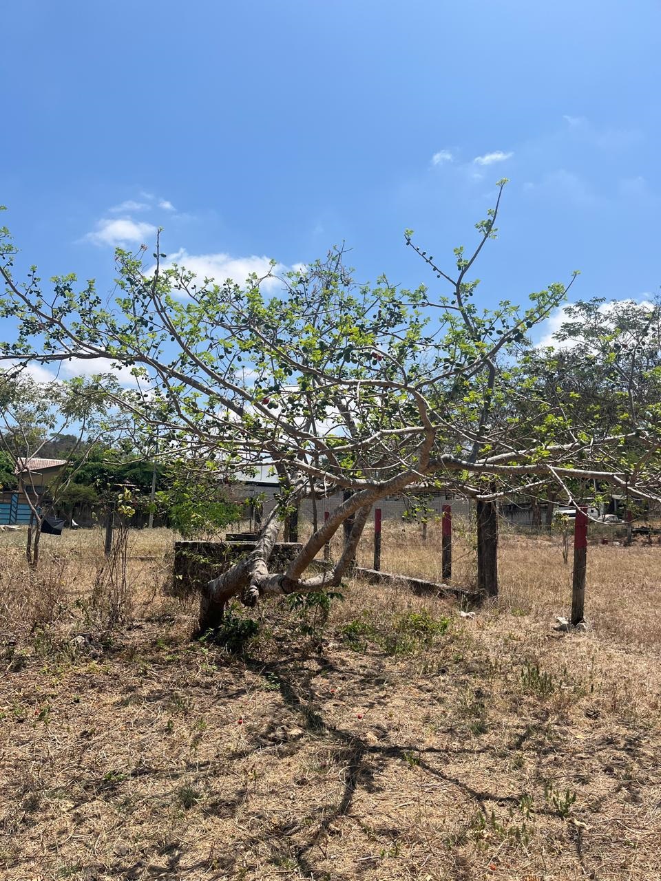 Terreno en venta en Guayaquil — foto 11