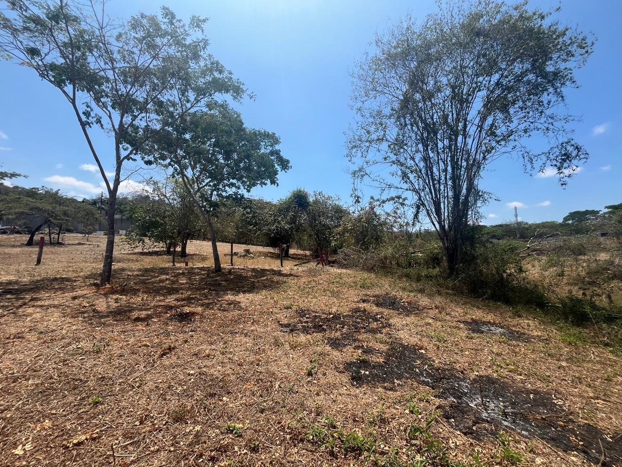 Terreno en venta en Guayaquil — foto 1