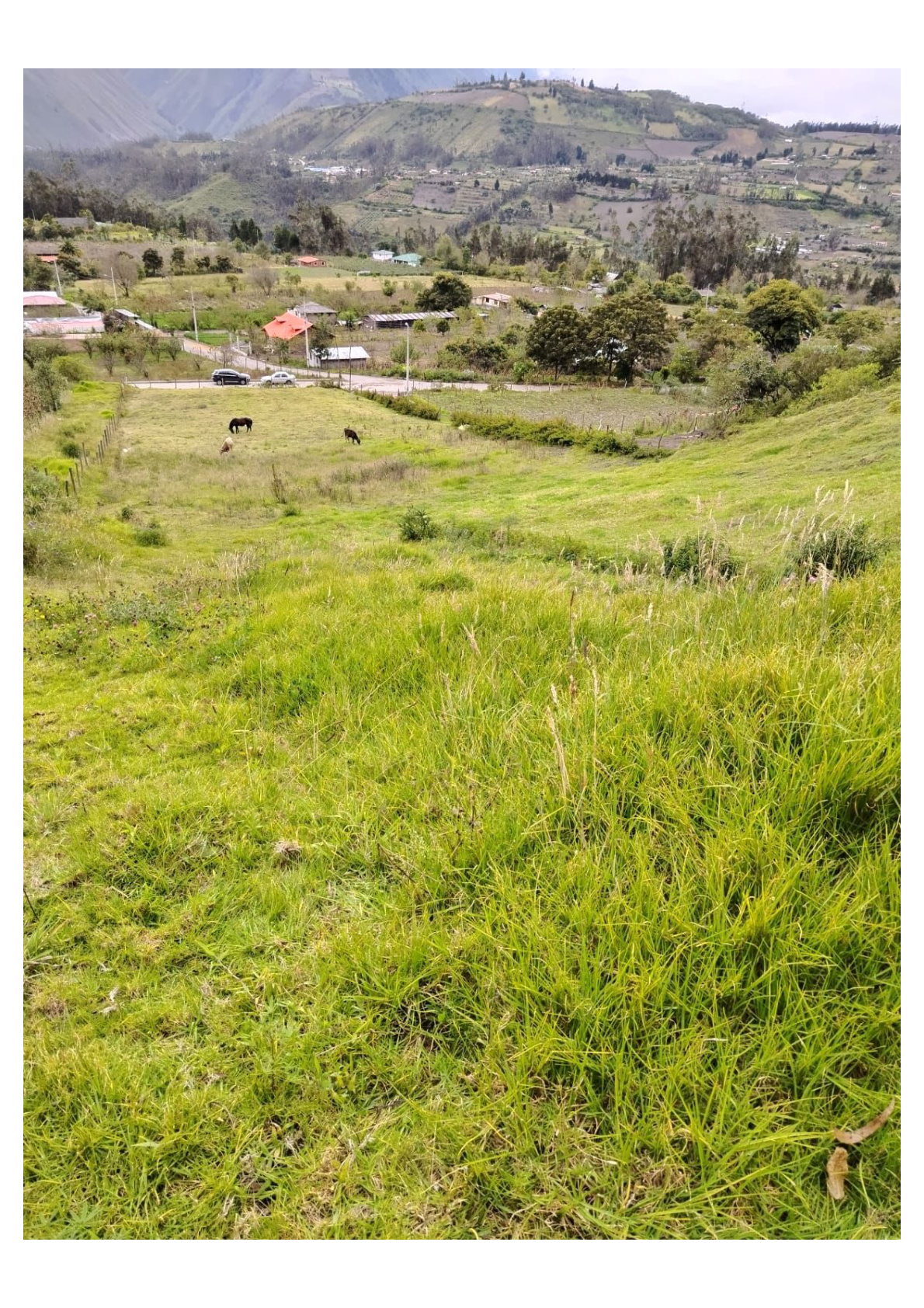 Terreno en venta en Penipe — foto 3