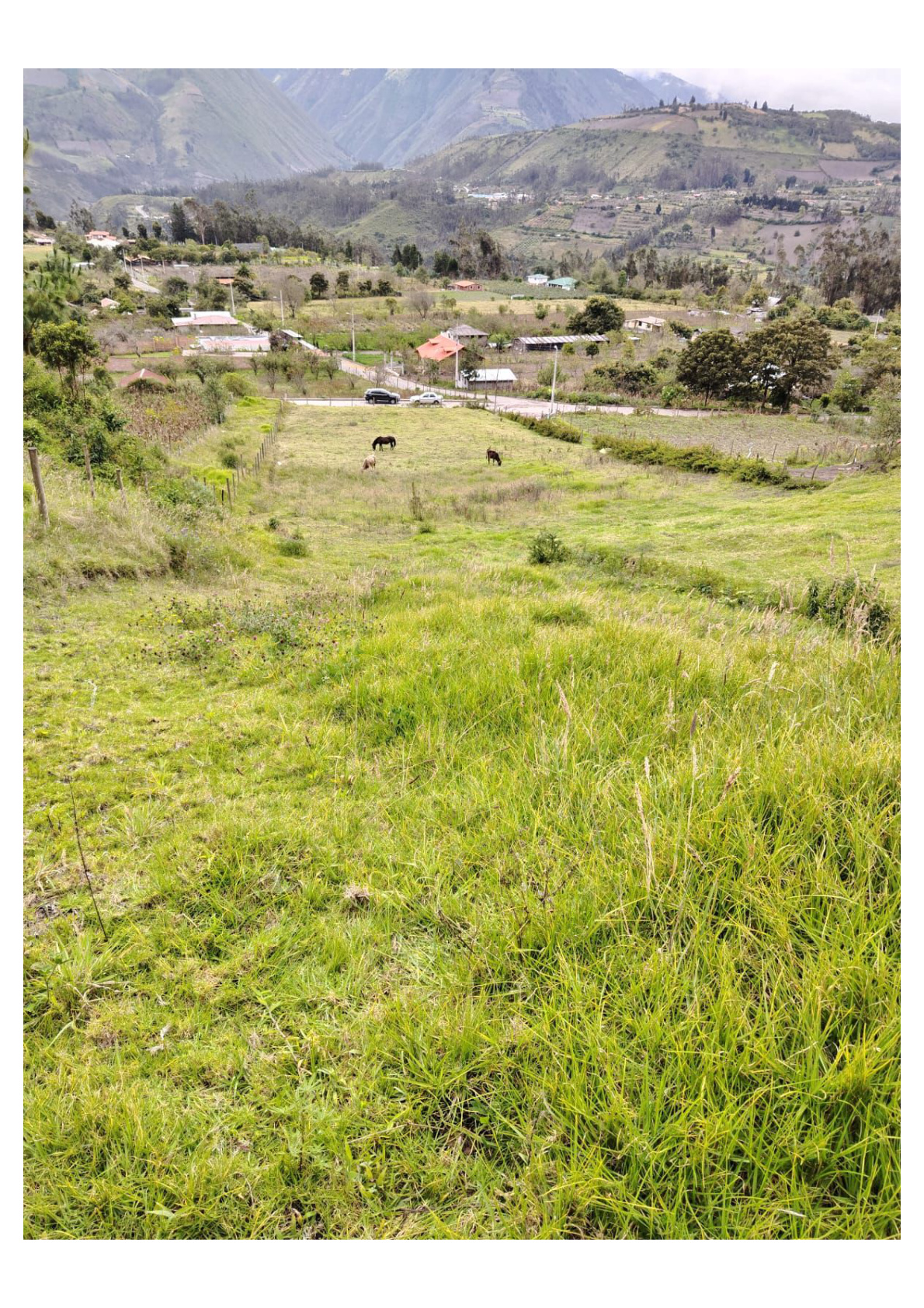 Terreno en venta en Penipe — foto 4