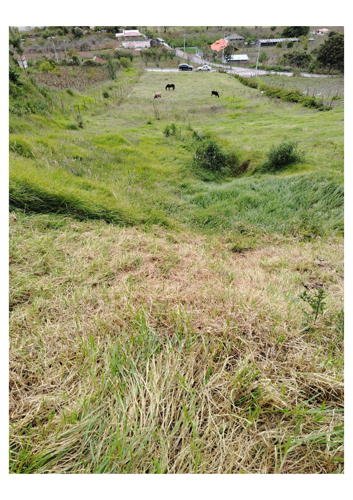Terreno en venta en Penipe — foto 1