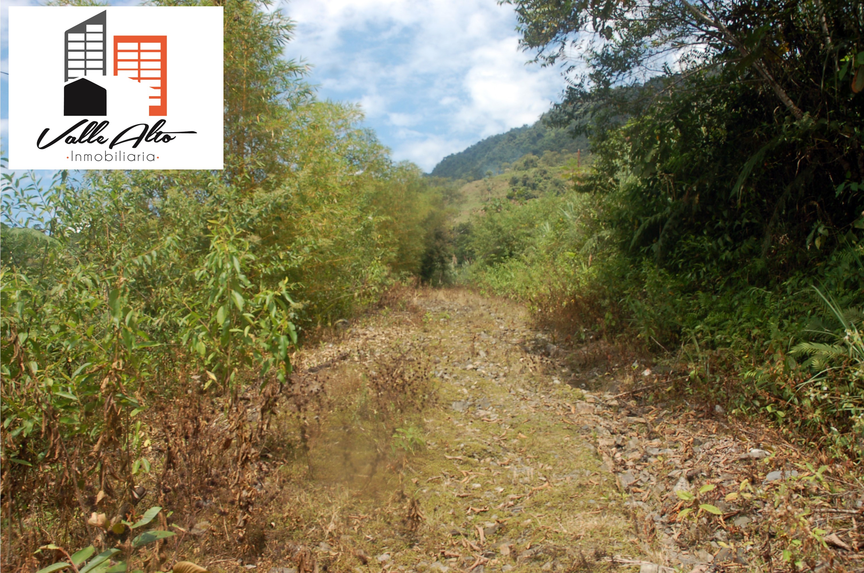 Finca en arriendo en Santiago — foto 8