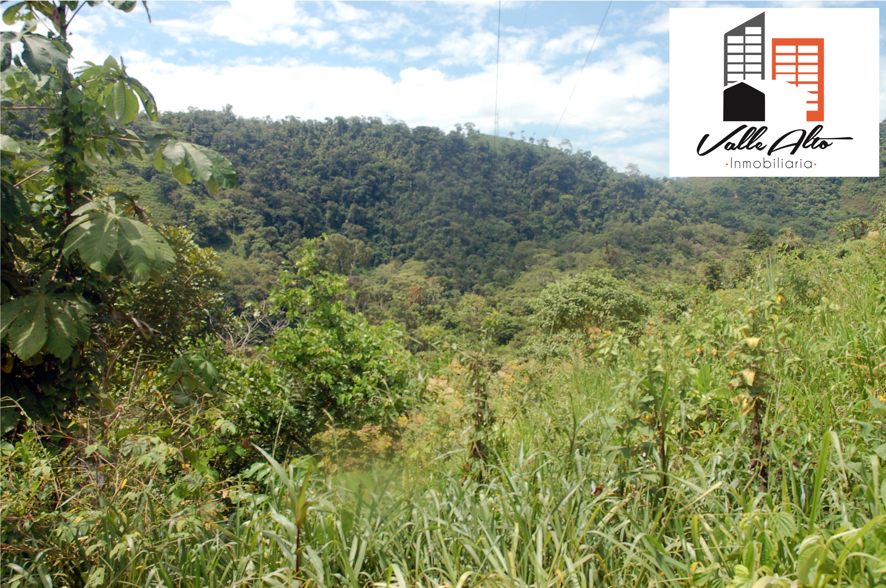 Finca en arriendo en Santiago — foto 9