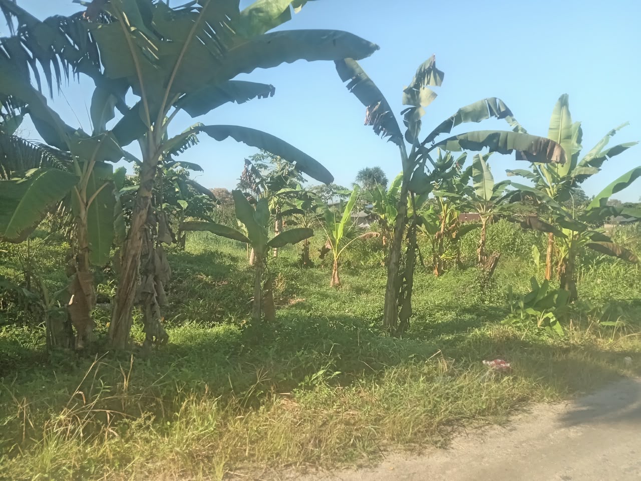 Finca en venta en Pastaza — foto 1