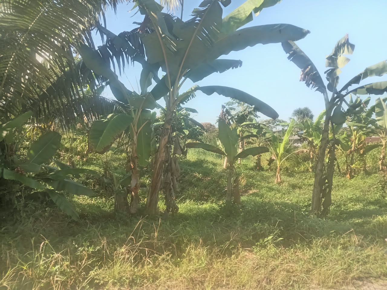 Finca en venta en Pastaza — foto 2